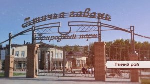 11 регион Омская область