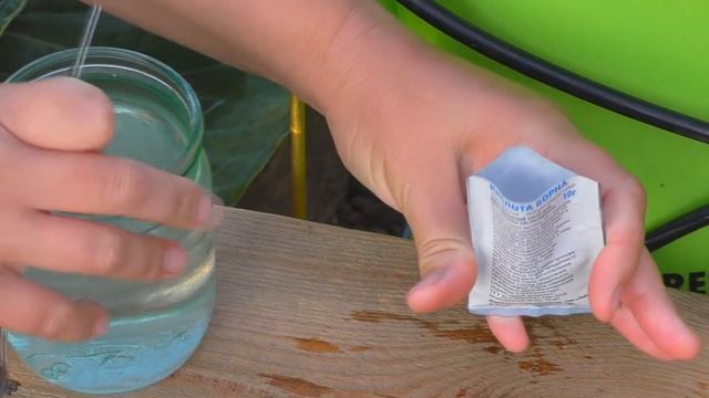 ВСЕ СМЕЯЛИСЬ НАД ЭТОЙ ПОДКОРМКОЙ ПОКА НЕ УВИДЕЛИ РЕЗУЛЬТАТ! ДЛЯ 100% ЗАВЯЗИ ВСЕХ ПЛОДОВ И КАПУСТЫ! смотреть онлайн