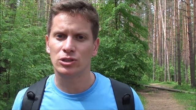 НЕ ПОДБИРАЙТЕ ПТЕНЦОВ! смотреть онлайн