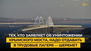 Тех, кто заявляет об уничтожении Крымского моста, надо отдавать в трудовые лагеря — Шеремет