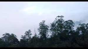 Очень красивое видео природы c красивой музыкой | Красивая природа 4К | Красивое видео 4К | 4К Виде