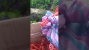 Виды крепежа для акрила под клубнику