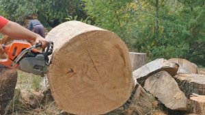 Husqvarna 550xp Mark II vs. Echo 501SX vs. Maruyama MCV5100S (Dolmar 5105) - same bar/same chain