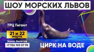 Цирк на воде "Небо" в Биробиджане! 21 и 22 марта 202о года!