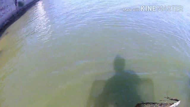 Ловля креветок в лимане осенью / Catching shrimp in the estuary in autumn