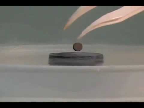Левитация магнита над сверхпроводником, Physics Demo,  Superconductor