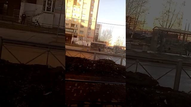 трамвай 100. Придорожная Аллея - проспект Просвещения - ж. д ст. Ручьи. смотреть онлайн