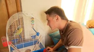 Как ухаживать за попугаем