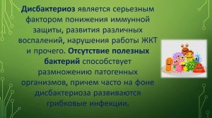 Бактерии: полезные и вредные