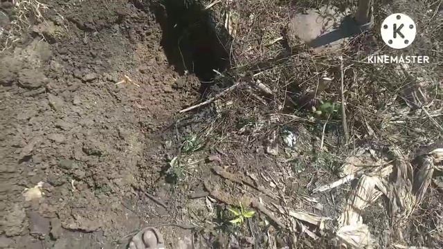 Mubal Kubur Kandass MD GFX 7000 смотреть онлайн