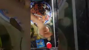 Простой рецепт из вареной курицы