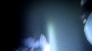 Подводная Охота на Форель. Подводная охота 2021 новинки. Подводная Охота - Трофей