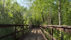 Поменяв анализы мужа и бродяги, жена богача потирала руки, а едва за дело взялась медсестра