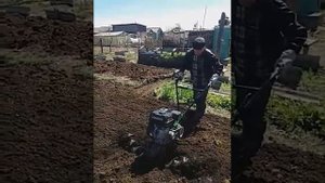 Мотоблок и гусиные лапки