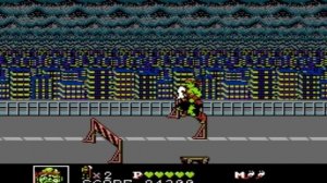 Toxic Crusaders (NES)