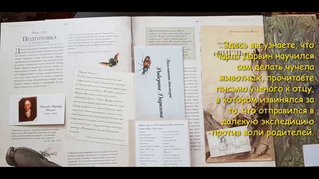 Конкурс День Земли смотреть онлайн