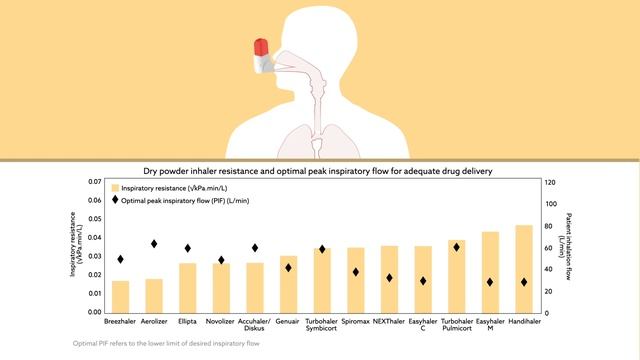 Understanding dry powder inhalers смотреть онлайн