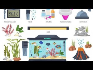 Что нужно для аквариума