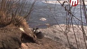 Утопленник на берегу реки