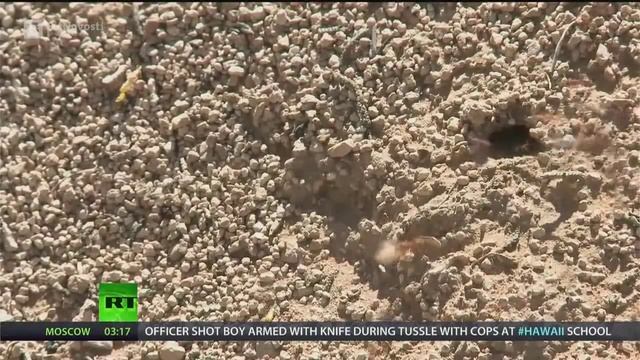 Естественная сила децентрализации | BitNovosti.com смотреть онлайн