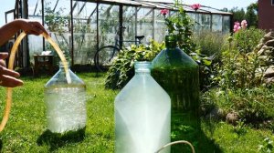 КАК ЛЕГКО ОТМЫТЬ БУТЫЛИ С УЗКИМ ГОРЛЫШКОМ