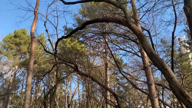 Карасунские озёра 07/01/2021г смотреть онлайн