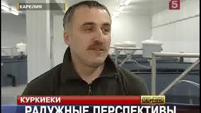 В маленьком поселки в Карелии организовано самое крупное форелевое производство в России   Mozilla