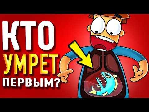 Что Если Заживо Проглотить Самую Свирепую Пиранью_ смотреть онлайн