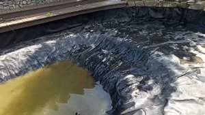 Ежегодная очистка пруда от водорослей листьев , жуков плавунцов и разной живности .