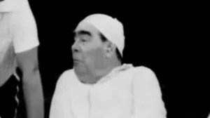 Апитерапия в СССР   историческая справка