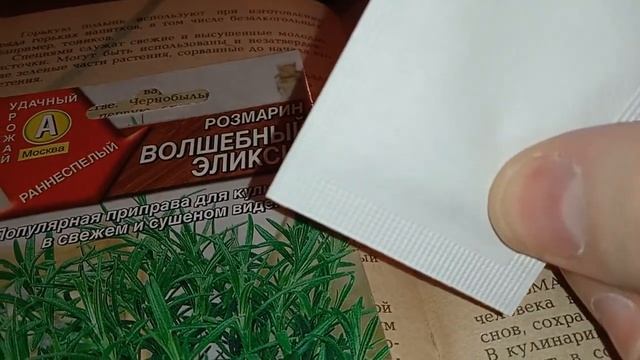 Розмарин-чудо растение из средиземноморья.