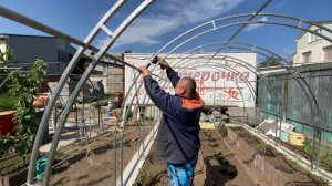 Сборка теплицы 8х3 своими руками .