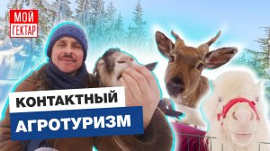 КАК УСТРОЕН ЭКОПАРК? | ОСВОИЛИ 20 ГА СЕЛЬХОЗЗЕМЕЛЬ ЗА 3 МЕСЯЦА И ВЫШЛИ НА ПРИБЫЛЬ | ОТ СОХИ ДО СОХИ