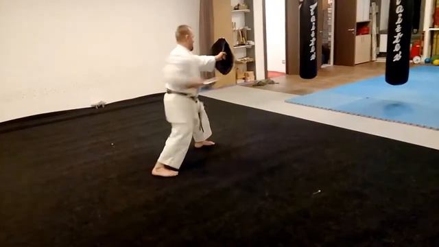 Part of kata Kanegawa no tinbe / Ryukyu Kobudo Shimbukan смотреть онлайн