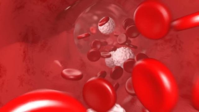 Эти продукты Разрушат вашу Поджелудочную Железу