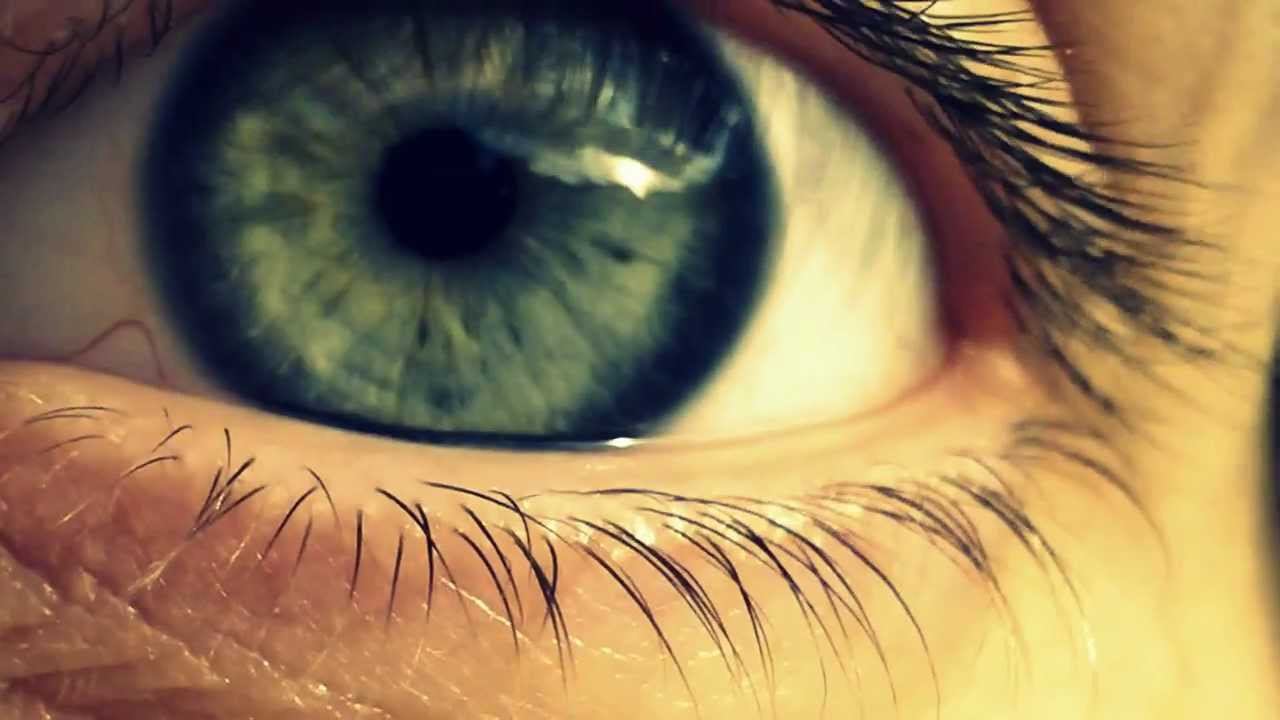 Макро глаз.MOV смотреть онлайн