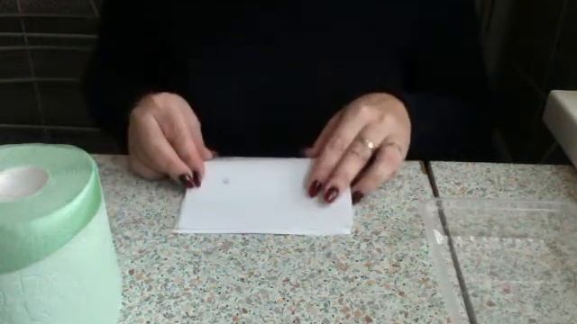 Предметно-практические действия тема: " Упражнения с бумагой" учитель Сидорова А А смотреть онлайн