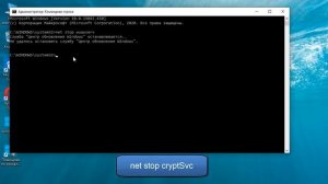 Как исправить ошибку 0x80004003 в Microsoft Store в Windows 10