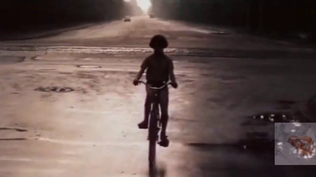 Елена Цыплакова. "Не болит голова у дятла" смотреть онлайн