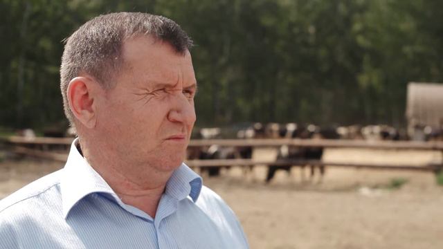 золотое кольцо мегаполиса