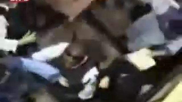 Побоище в главном храме Low смотреть онлайн