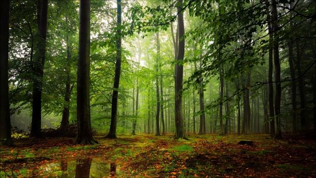 Кельтская и ирландская  музыка  отборная подборка -  Celtic and Irish music is a great selection