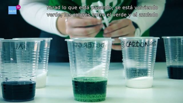 Crea tu Propio DETECTOR de PH Casero | con CRISTINA BALBÁS | Campus смотреть онлайн