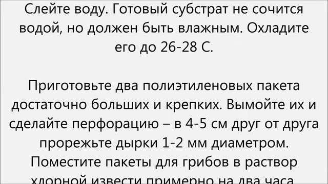 Как выращивать вешенки