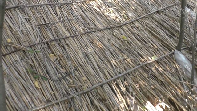 ? Хижина. Ураган. Кукри | Разбираю завал у хижины смотреть онлайн