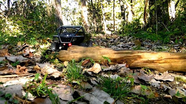 Honcho in the woods смотреть онлайн