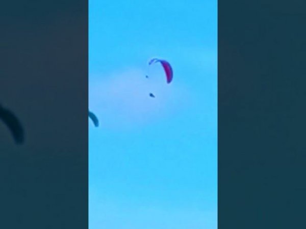 Птица резко сменила траекторию полета и решила пролететь под куполом параплана!