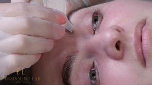 Фрагмент онлайн курса  Бровист и Ламинирование