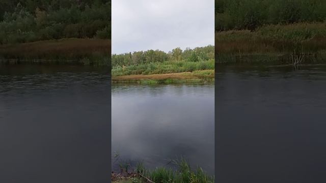 Оренбург река Урал 4 сентября 2022 год смотреть онлайн