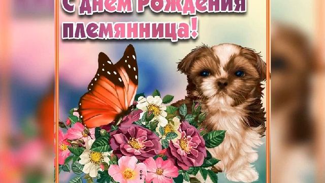 С Днём Рождения Племянница !